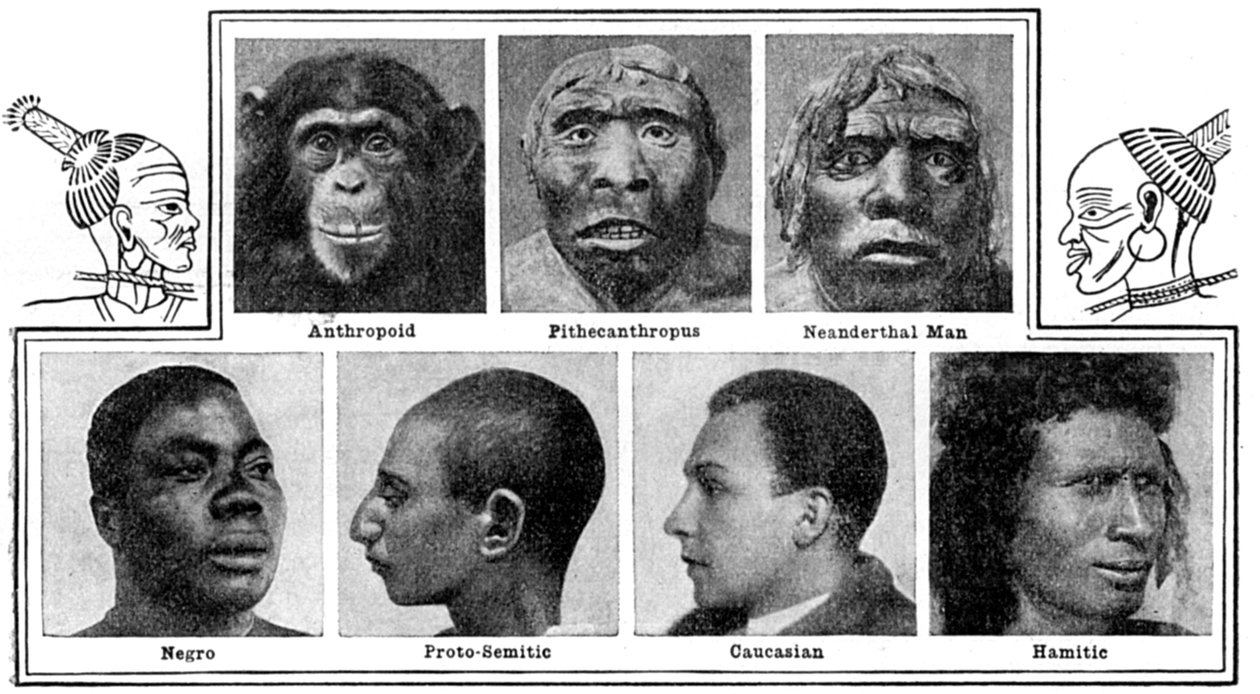 鼻の自然の進化的デザイン、1922 作： 不明