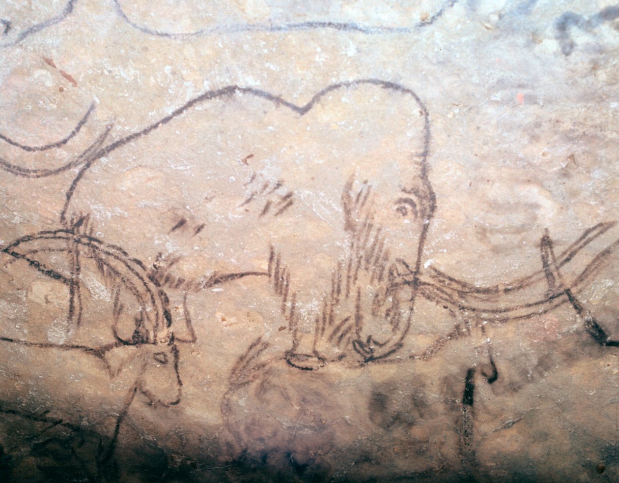 マンモスとアイベックスの新石器時代の洞窟壁画 作： 不明