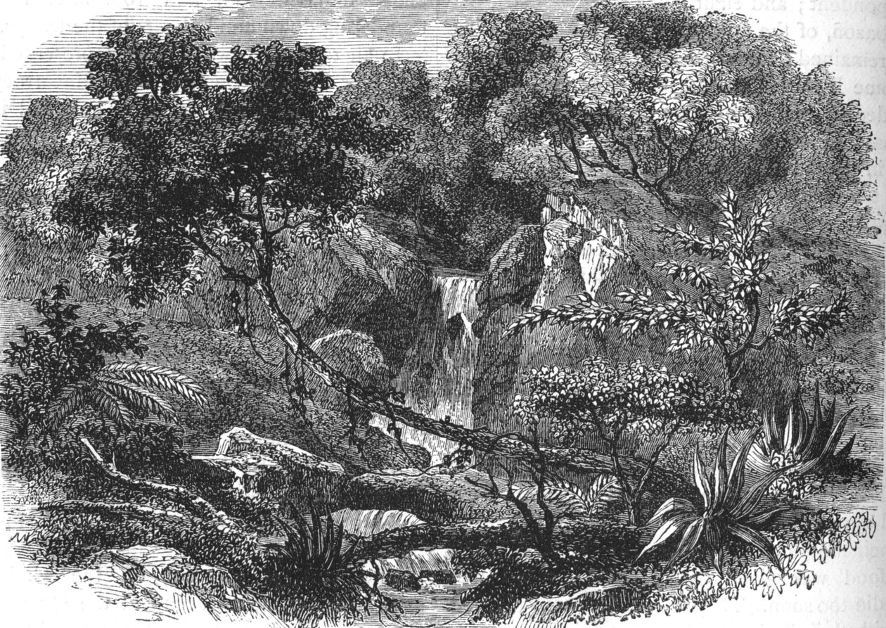 ニュージーランドの風景、c1880 作： 不明