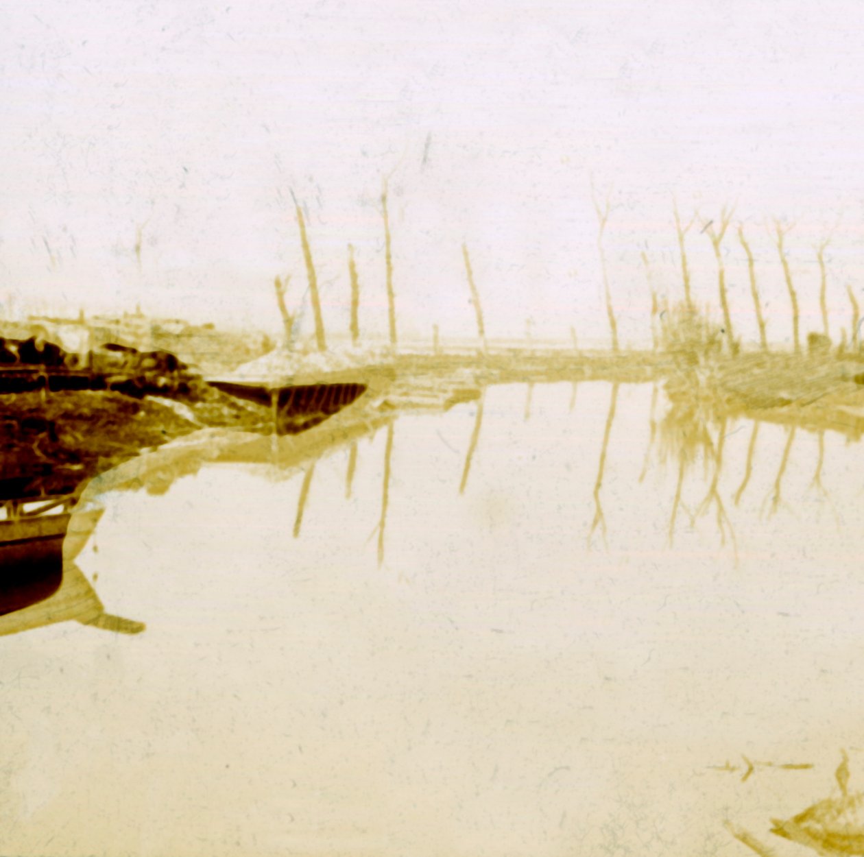 北ベルギー、フランダース、ベルギー、c1914-c1918 作： 不明