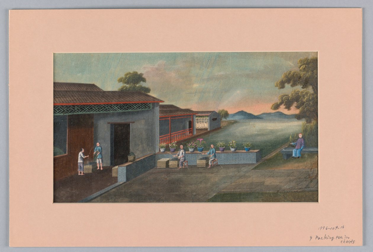 茶葉をチェストに詰める作業、1890-1910年 作： 不明