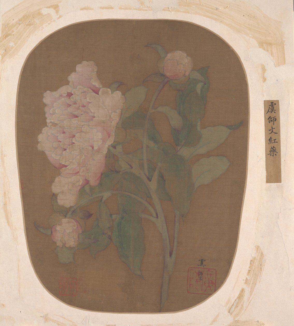 牡丹の花と葉。 作： 不明