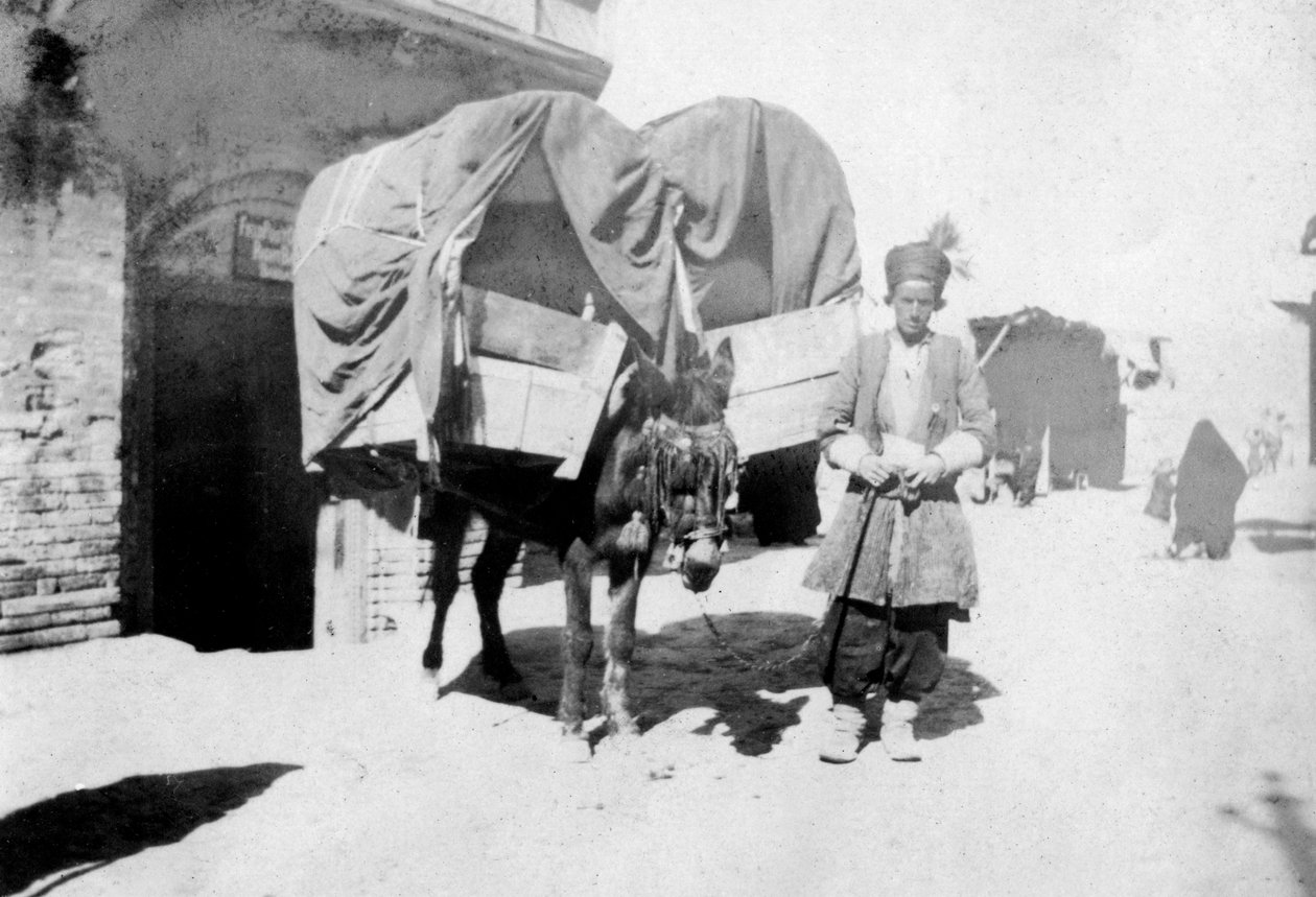 ペルシャロバ輸送、バグダッド、イラク、1917-1919 作： 不明
