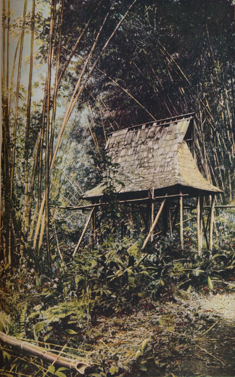 フィリピン諸島、c1930s 作： 不明