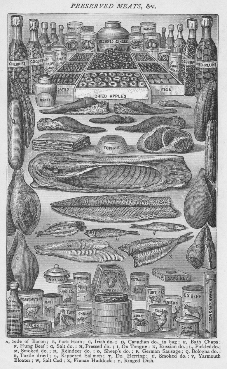 保存食肉、1907、1907 作： 不明