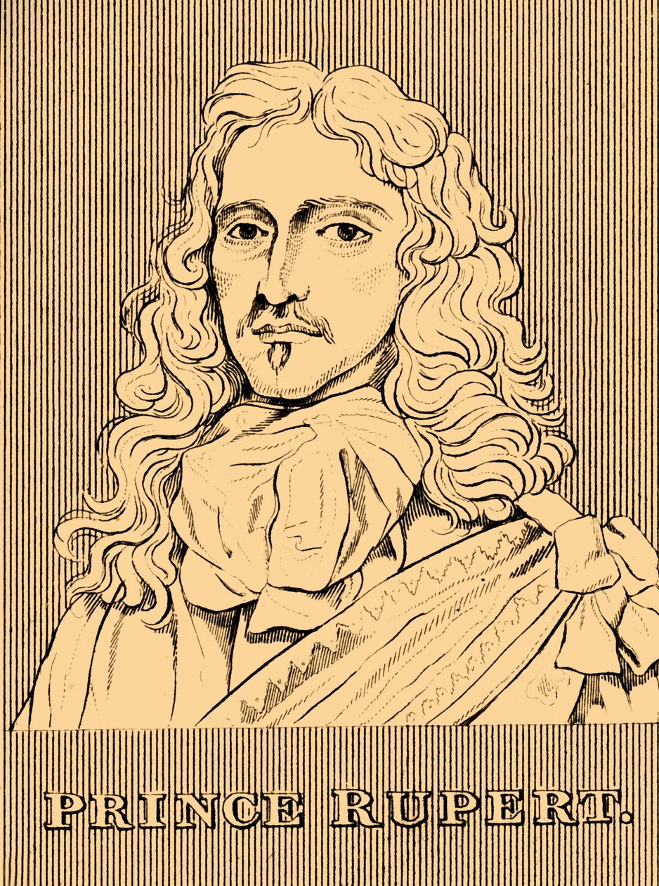 ルパート王子、1619年-1682年、1830年。 作： 不明