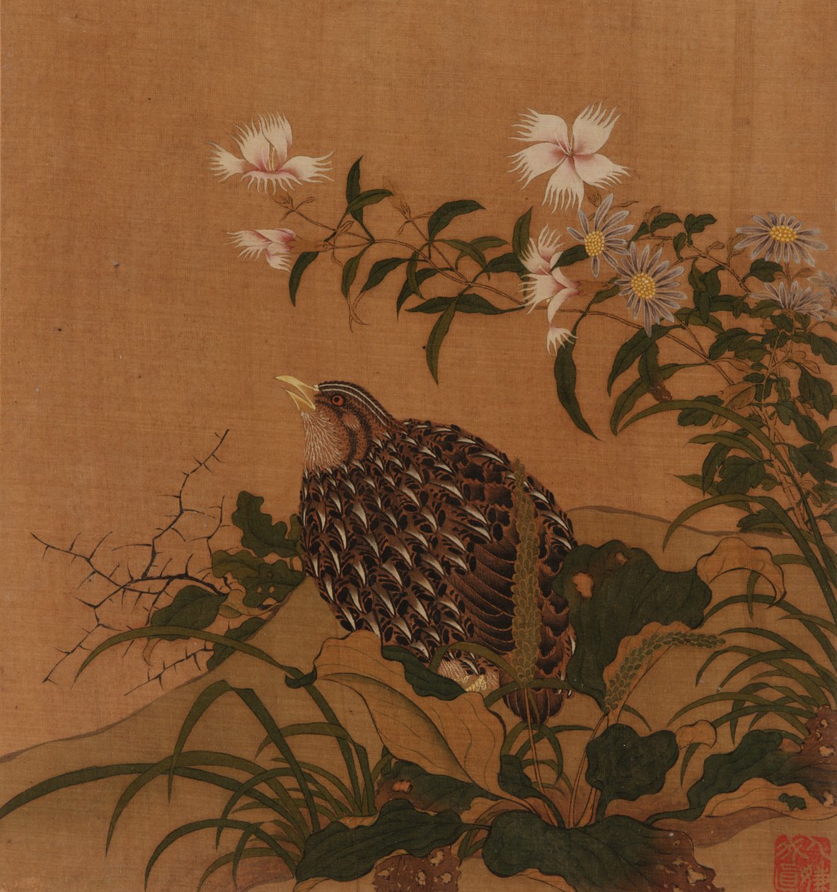 ウズラと花、清王朝、18 世紀。 作： 不明
