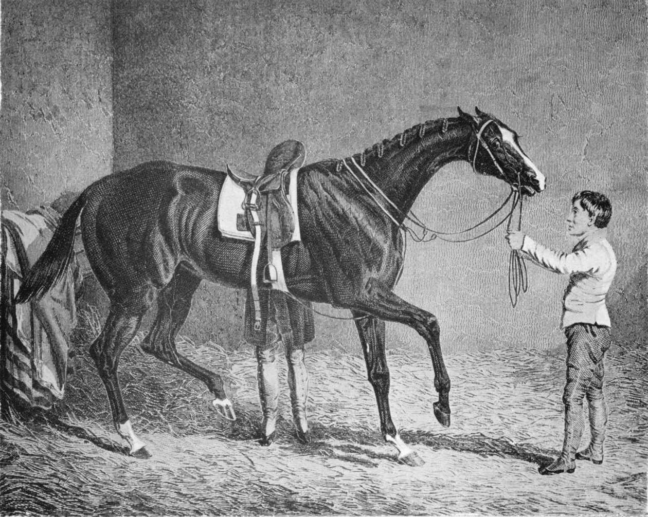 トランプの女王、1832-1843、1911 作： 不明