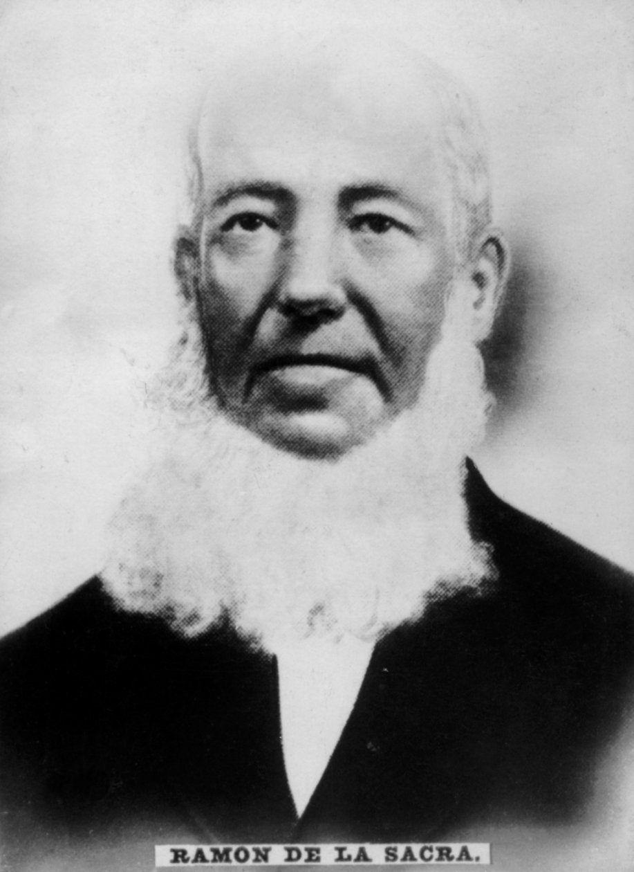ラモンデラサクラ、1798〜1871年、1920年代 作： 不明