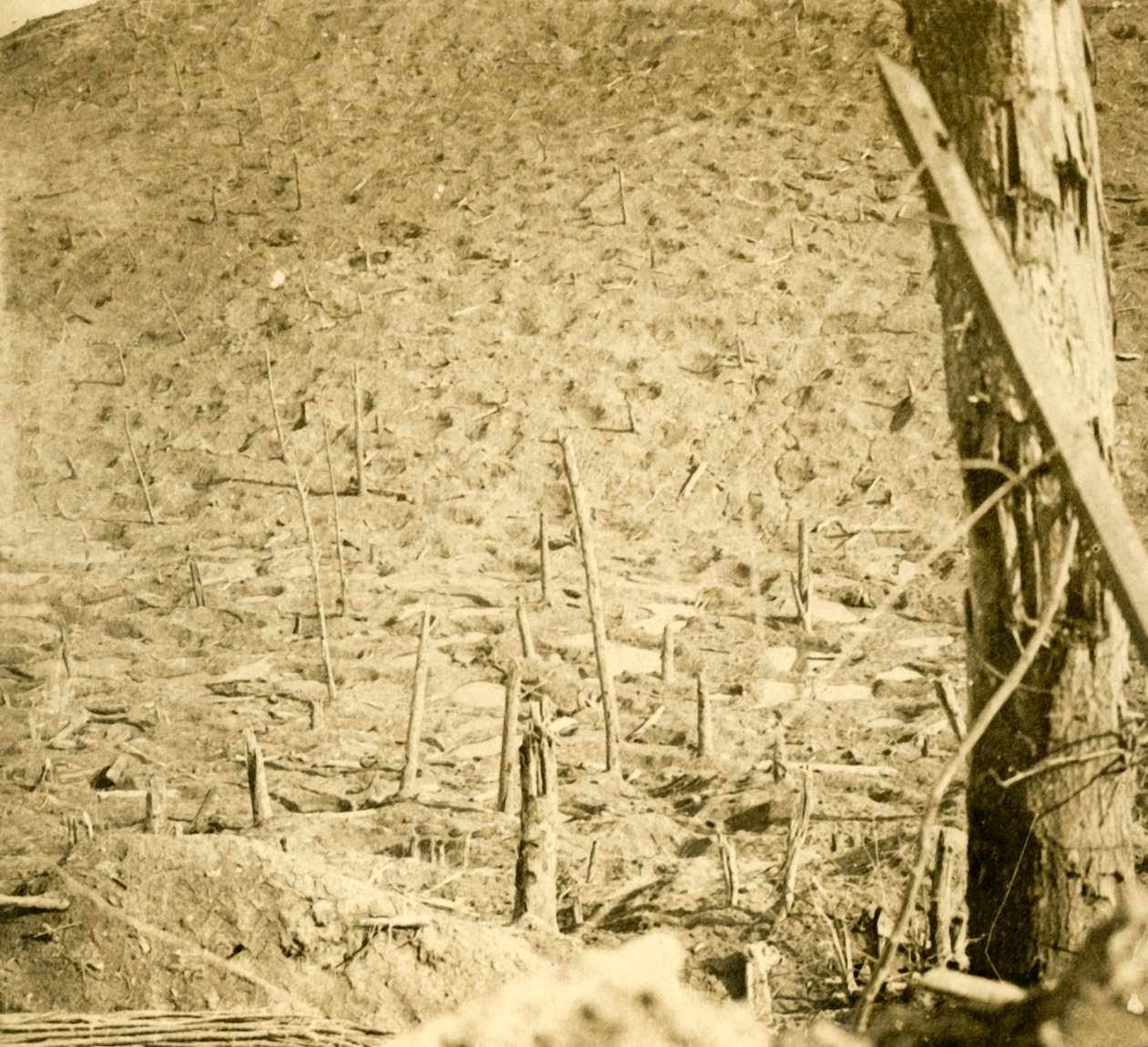 フランス北部のレパージュの峡谷、c1914-c1918。 作： 不明