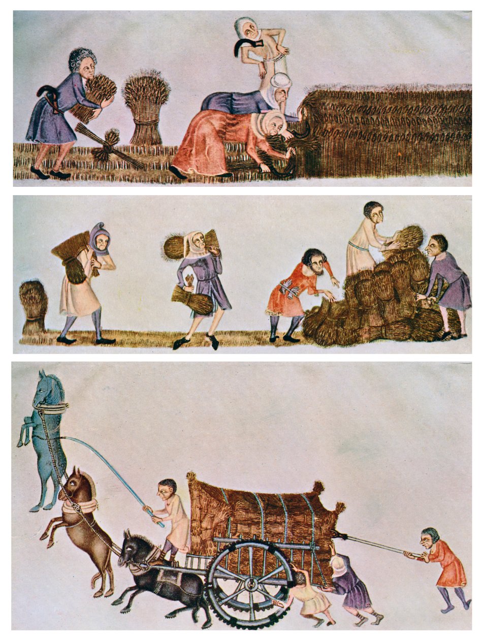 刈り取り、持ち運び、運搬、c1300-1340、c1900-1920 作： 不明