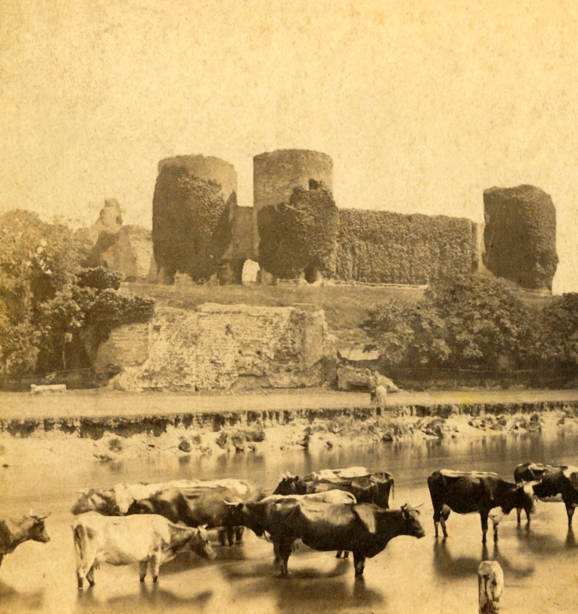 Rhuddlan-川からの城、c1900。 作： 不明