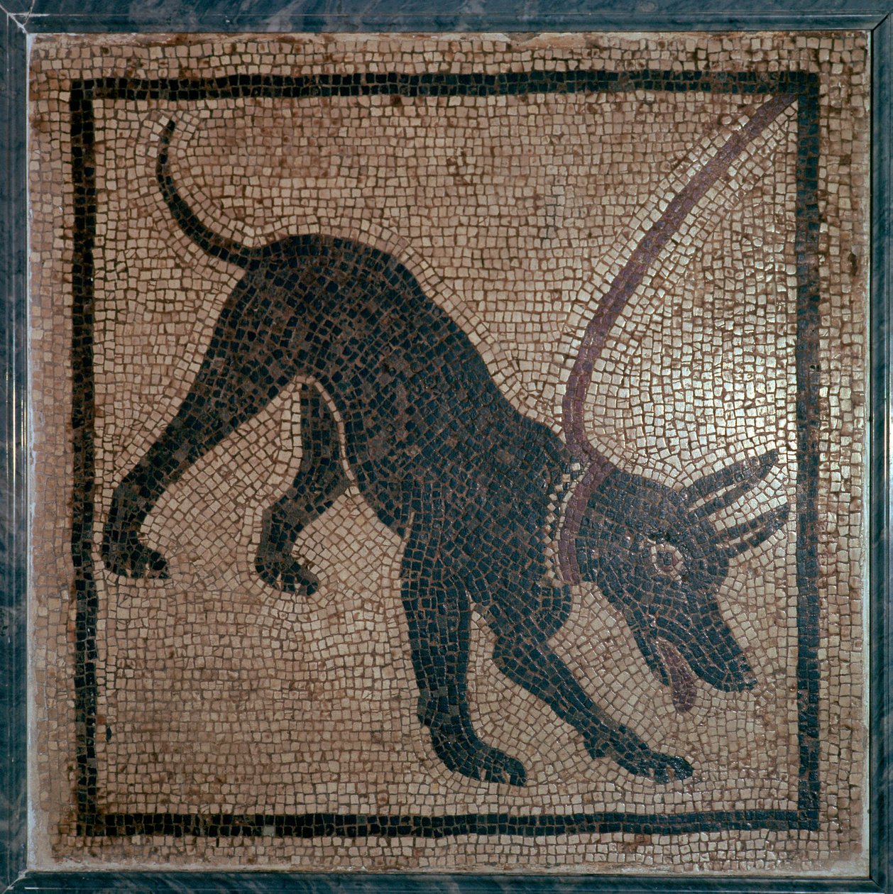 犬のローマ時代のモザイク、1 世紀 作： 不明