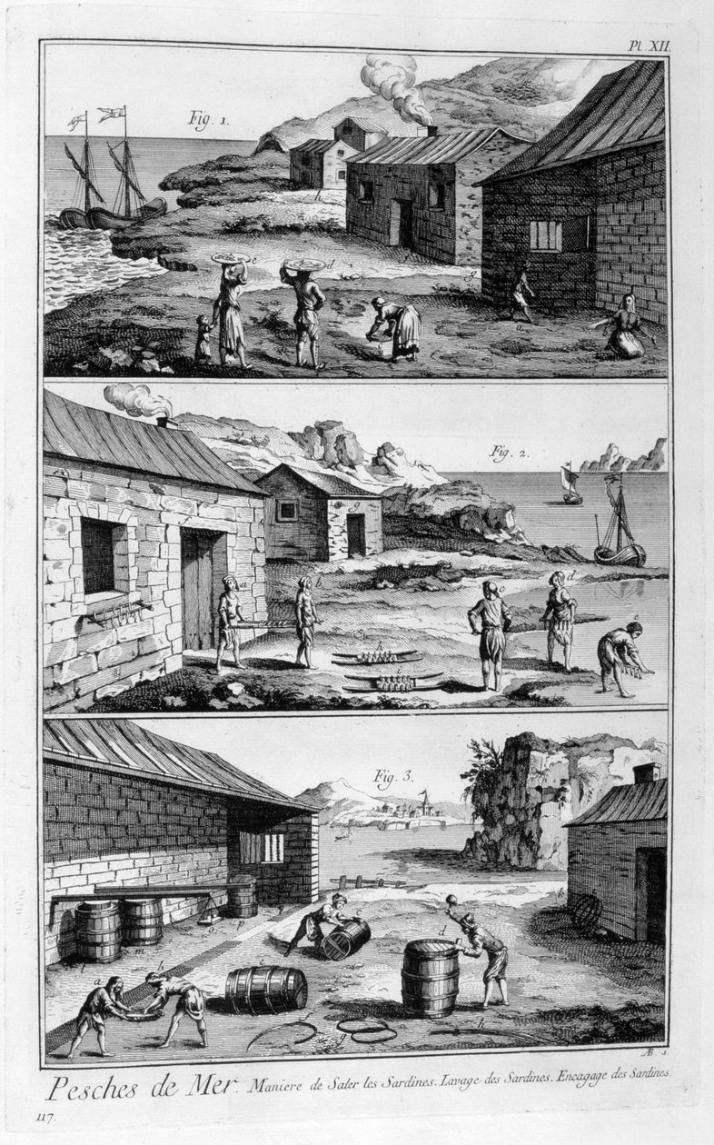 イワシの塩漬け、洗浄、梱包、1751-1777 作： 不明