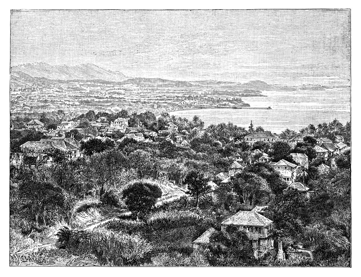 サンタクルス島、c1890 作： 不明