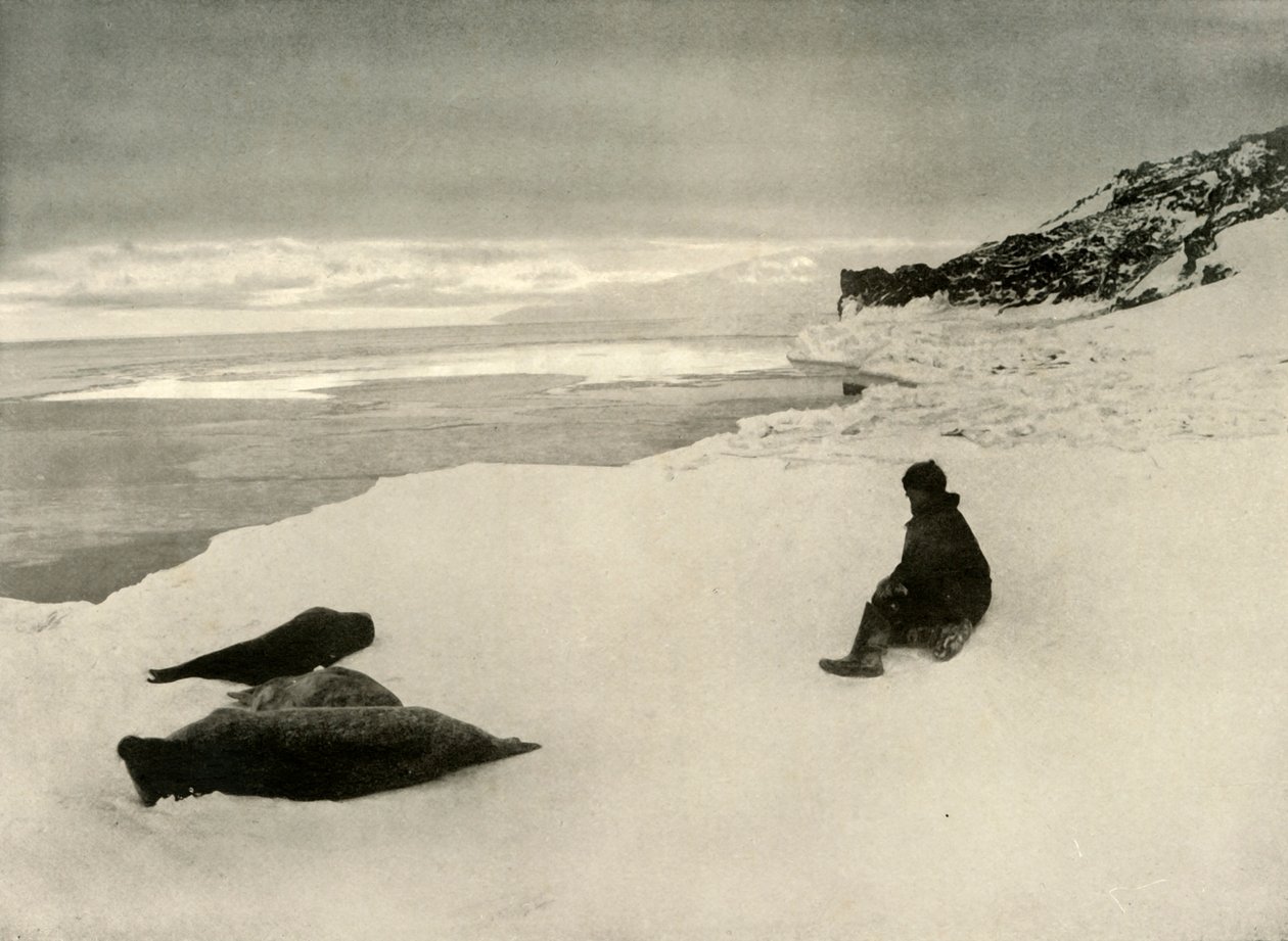 Ice-Edgeのシール、c1908、1909 作： 不明