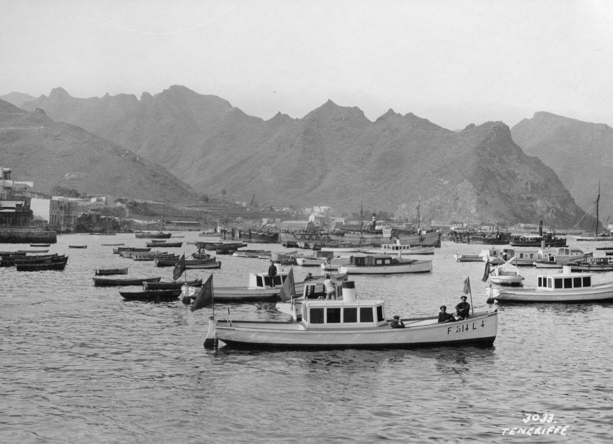 テネリフェ島、カナリア諸島、スペイン、c1920s-c1930s 作： 不明
