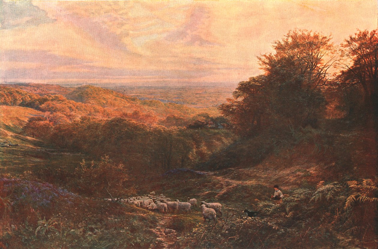 サリーの心臓、1874年、c1902。 作： 不明
