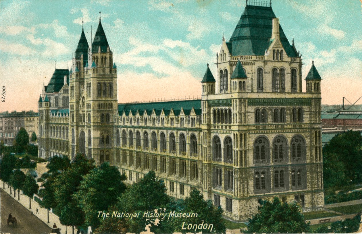 国立歴史博物館、ロンドン、c1910。 作： 不明