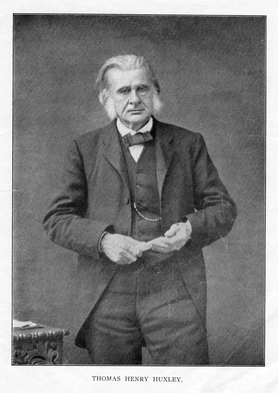 Thomas Henry Huxley、イギリスの生物学者、c1870s 作： 不明
