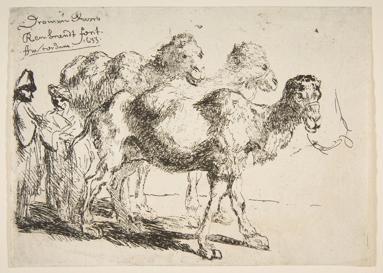 3つのDromedaries.nd 作： 不明