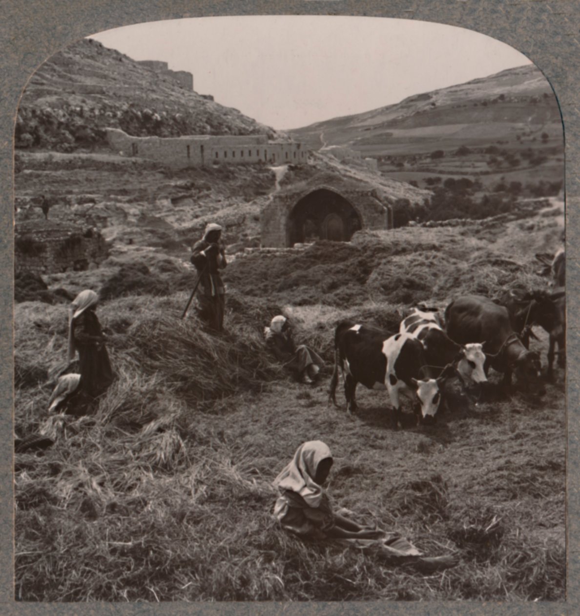 Jacobs Well、c1900の近くの脱穀粒 作： 不明