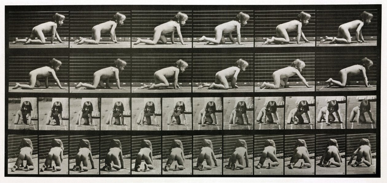 子供がハイハイする様子を撮影したタイムラプス写真 作： 不明