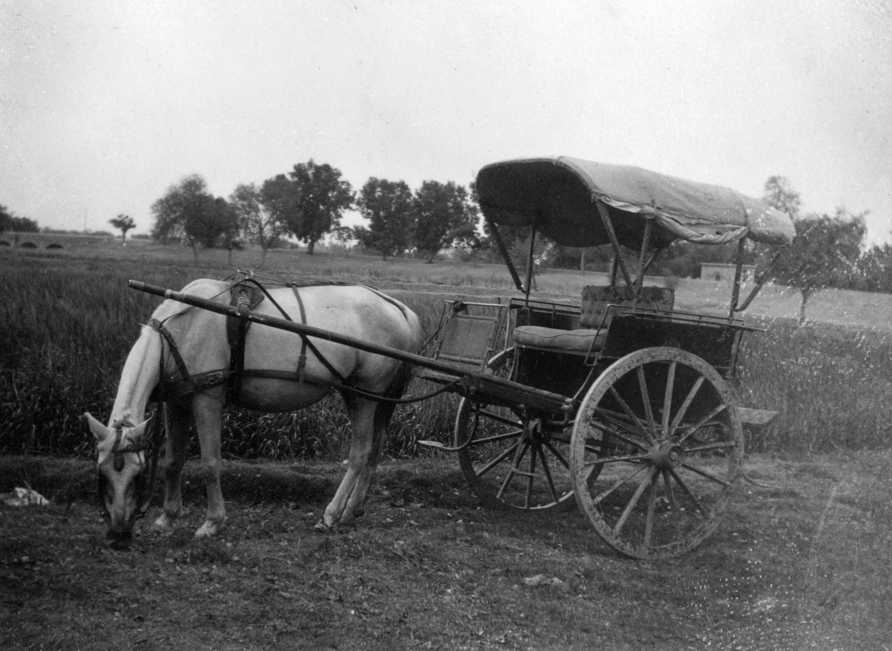 トンガの馬車、インド、ムトラ、1917 作： 不明