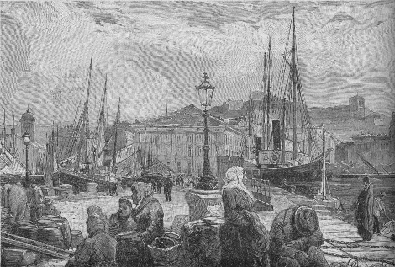 トリエステ港、1902 作： 不明