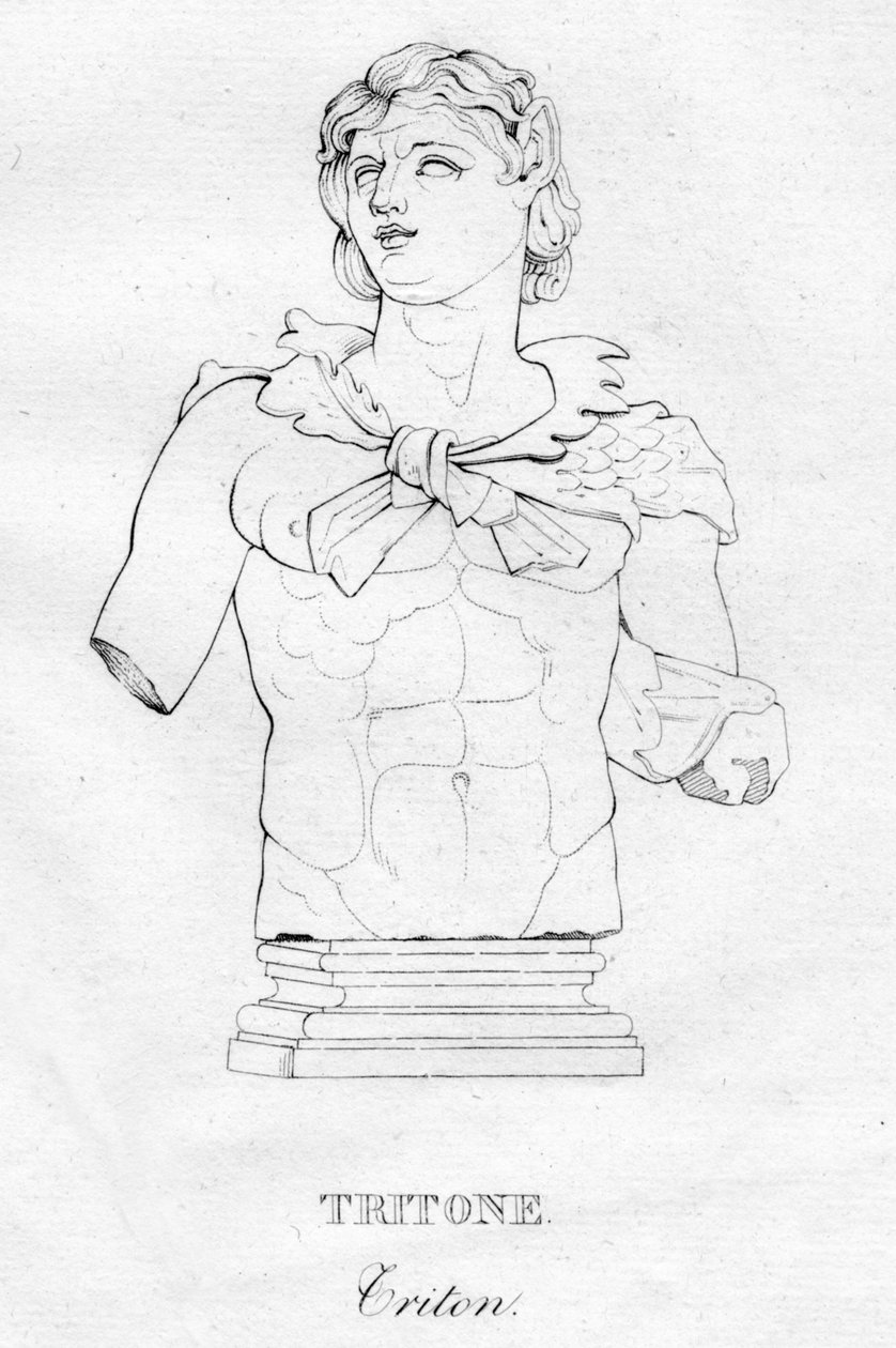 Tritone Triton、c1850 作： 不明