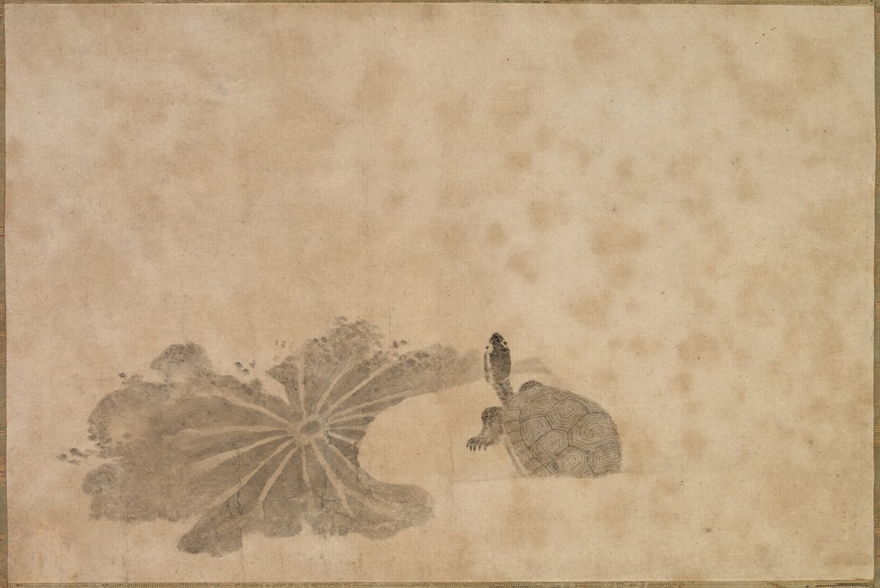 蓮の池のカメ、18世紀。 作： 不明