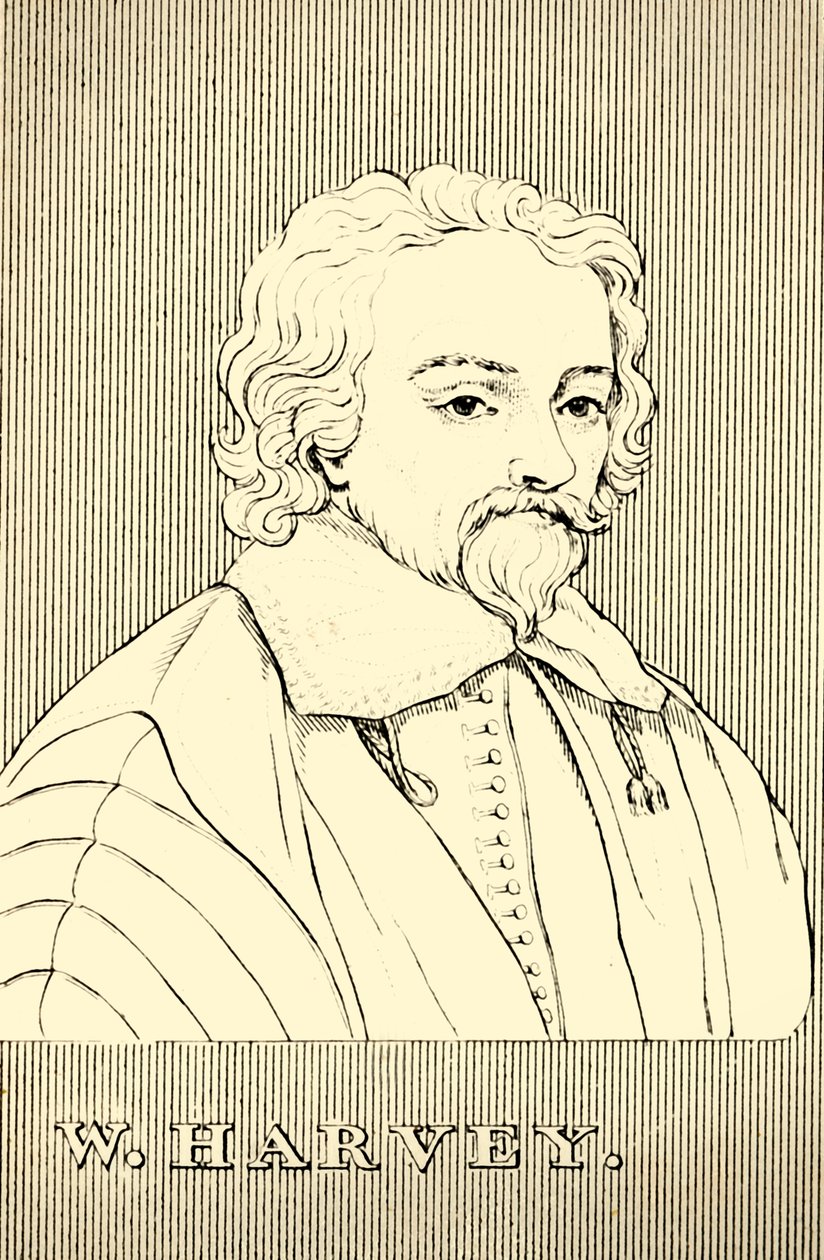 W・ハーヴェイ、1578-1657、1830。 作： 不明