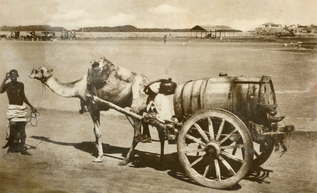 ウォーターカート、アデン、c1918-c1939。 作： 不明