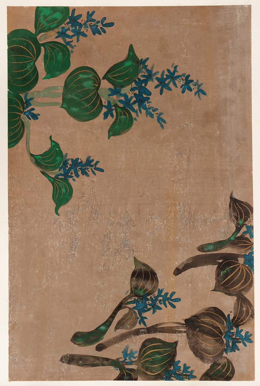 青い花の水草、江戸時代、1615-1868. 作： 不明