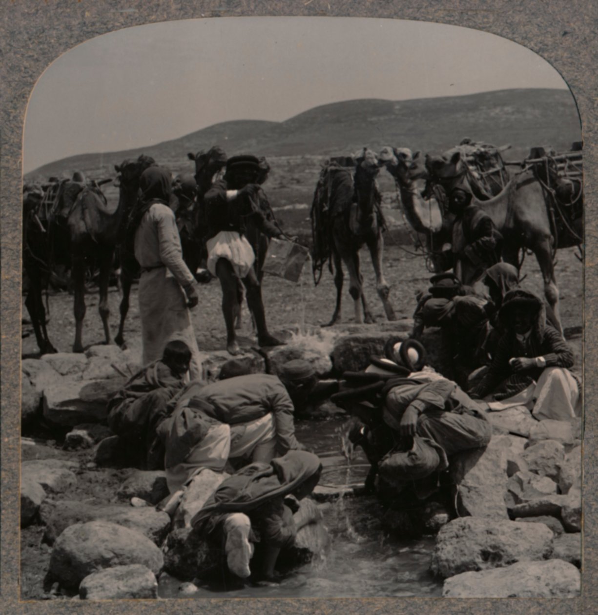 Jacobs Well、c1900でラクダに水をまく 作： 不明