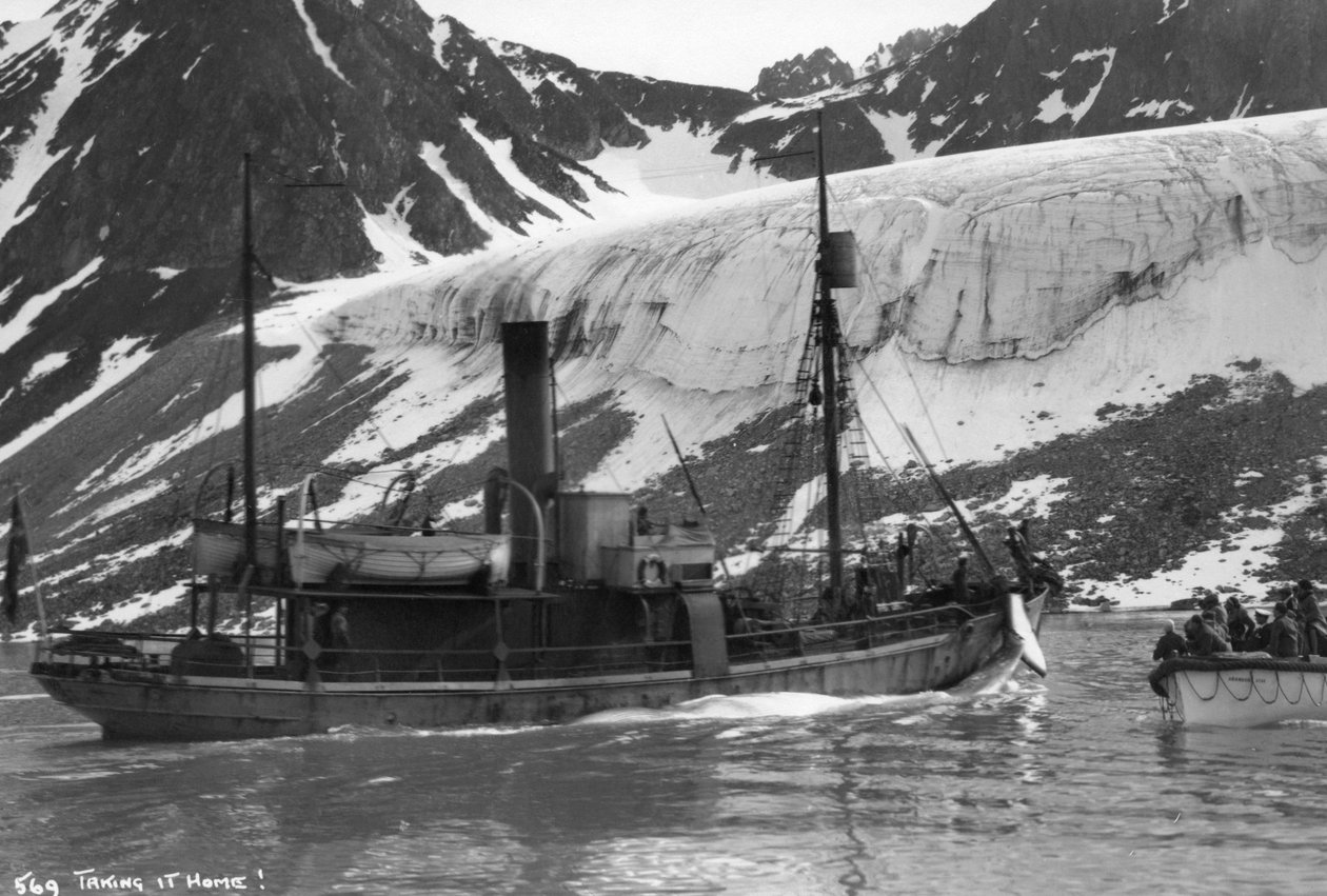 捕鯨、マグダレン湾、スピッツベルゲン、ノルウェー、1929 作： 不明