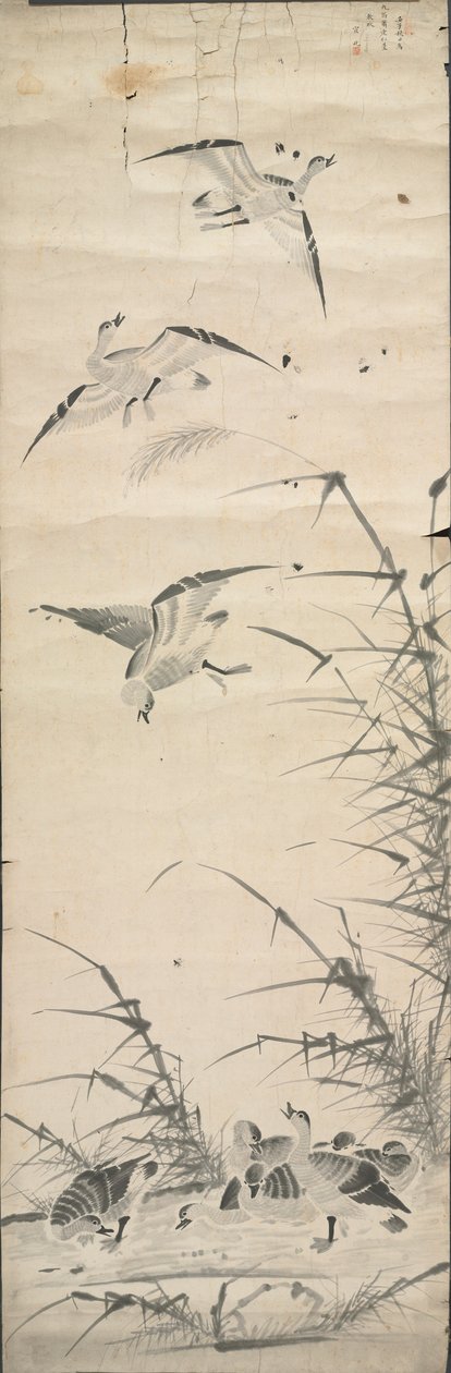 野生のガチョウと葦、1392-1910。 作： 不明