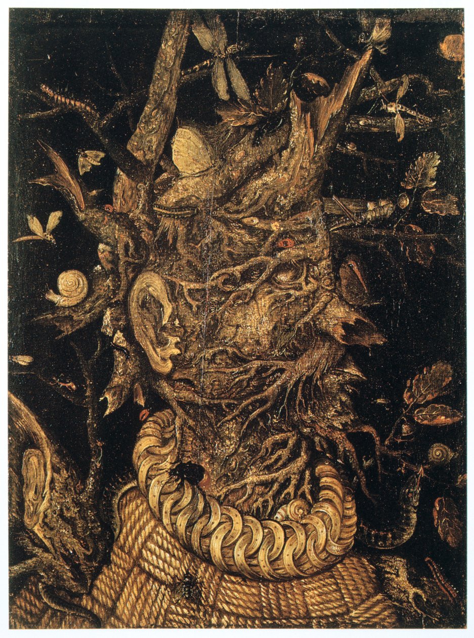 冬 作： 不明