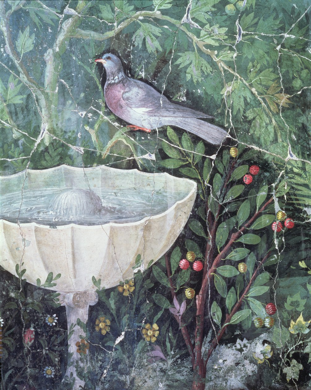 噴水のそばの庭にある鳩の壁画、黄金のブレスレットの家、ポンペイ、西暦1世紀 作： 不明不明