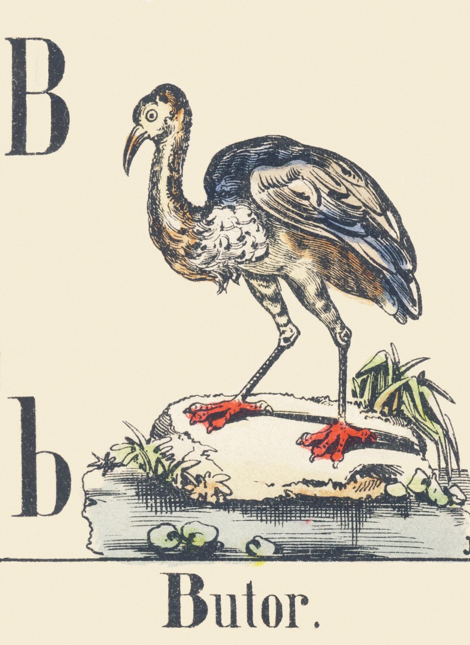 B：にがり 1880-1900年頃（イラスト） 作： 無名の画家