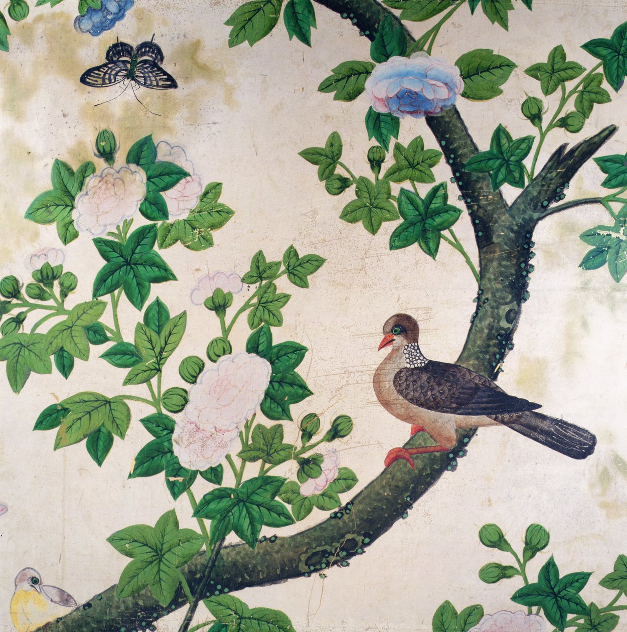 鳥の壁紙、1840年頃 作： 無名の画家