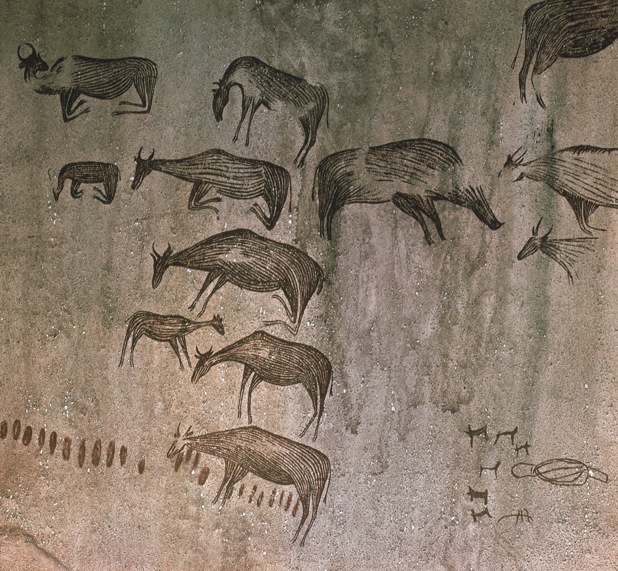 タンザニア、ドドマ地方、岩絵 作： Jan Cornelis Woudanus