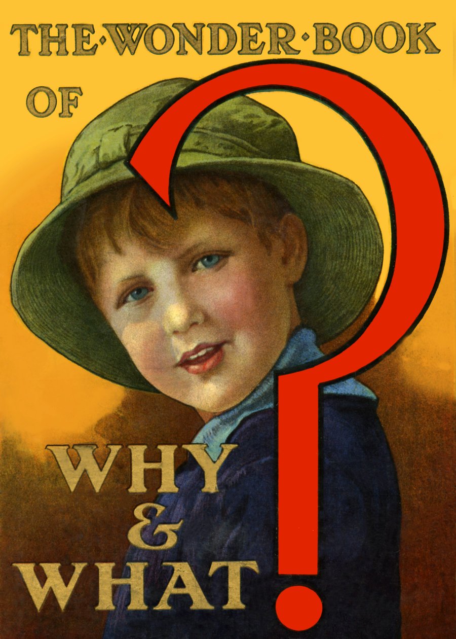 The Wonder Book of Why and What 作： 不明