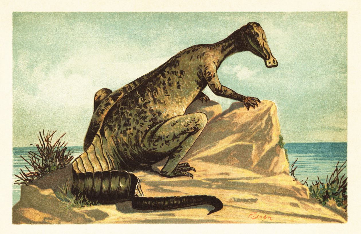 トラコドン ミラビリス、絶滅したハドロサウルス恐竜。1908 年 (リトグラフ) 作： 無名の画家