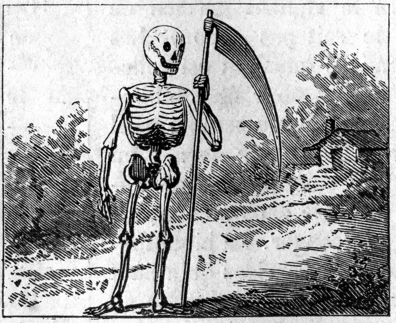偽物で表現された死。1860年の刻印。 作： 無名の画家