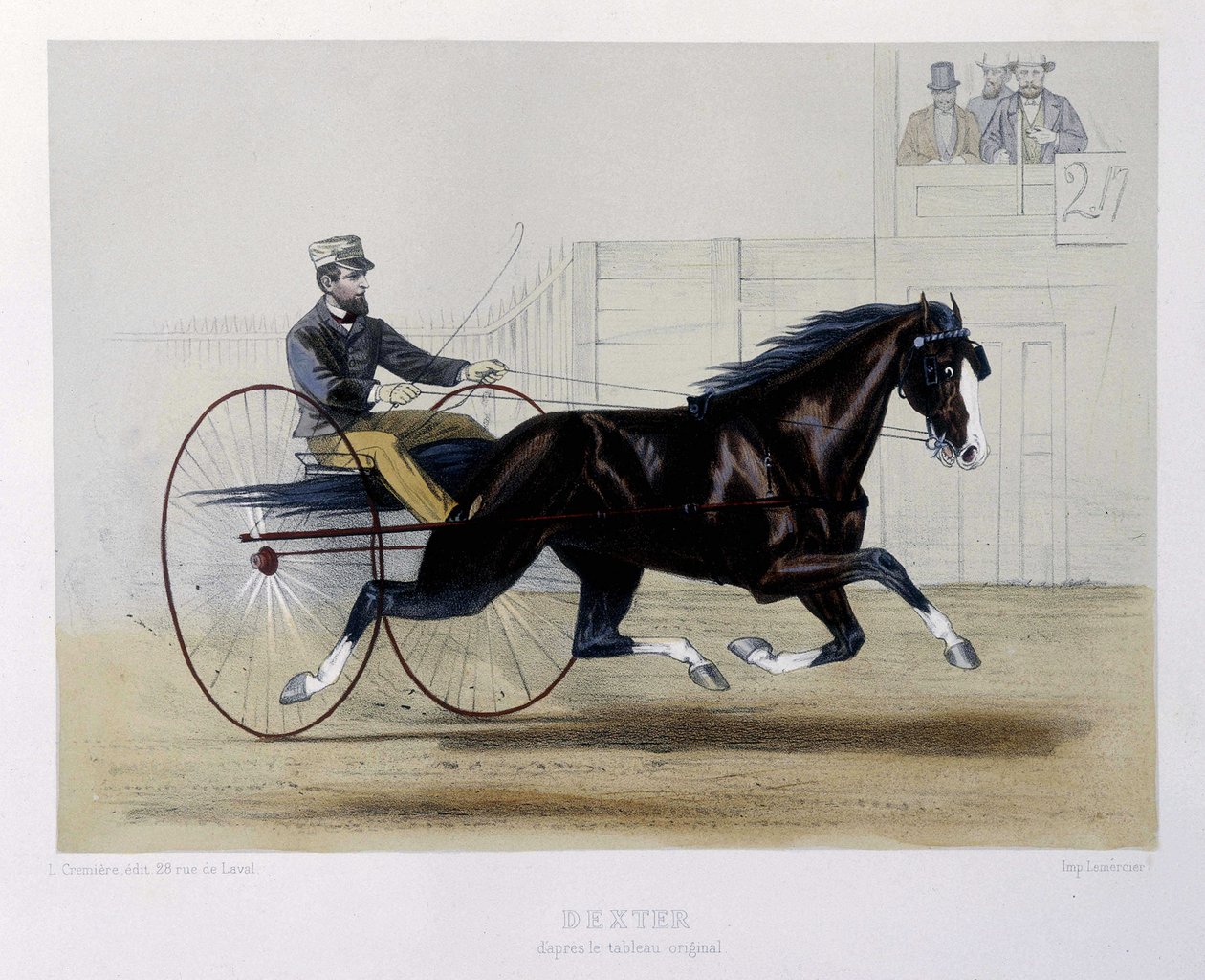 デクスター・トロットゥール - "The centaur "にて 作： 無名の画家