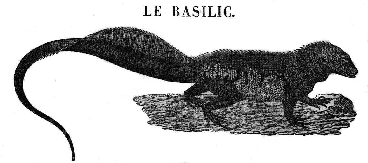 伝説のモンスター：爬虫類のバジルの表現。 作： 無名の画家