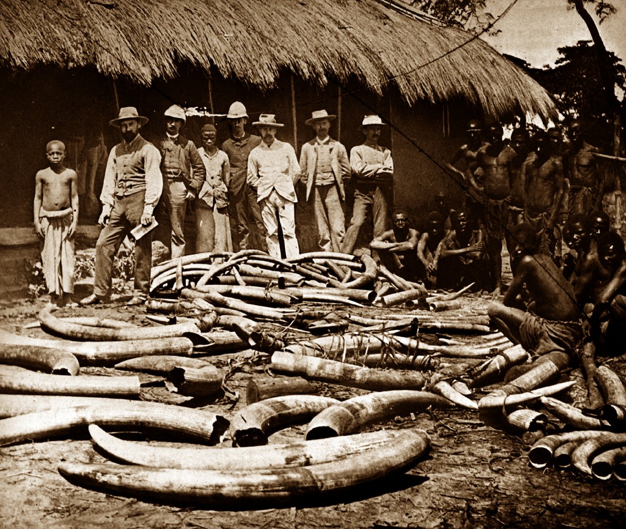 ベルギー植民地時代の象牙狩り 作： 未知の写真家