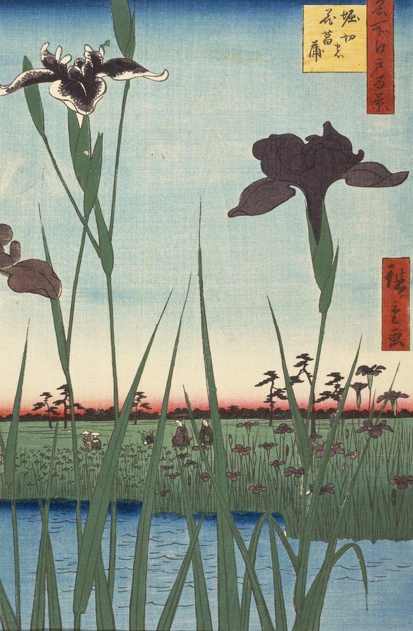 Horikiri Iris Garden (Horikiri no hanashbu), from the series One Hundred Famous Views of Edo (Meish... 作： 歌川広重