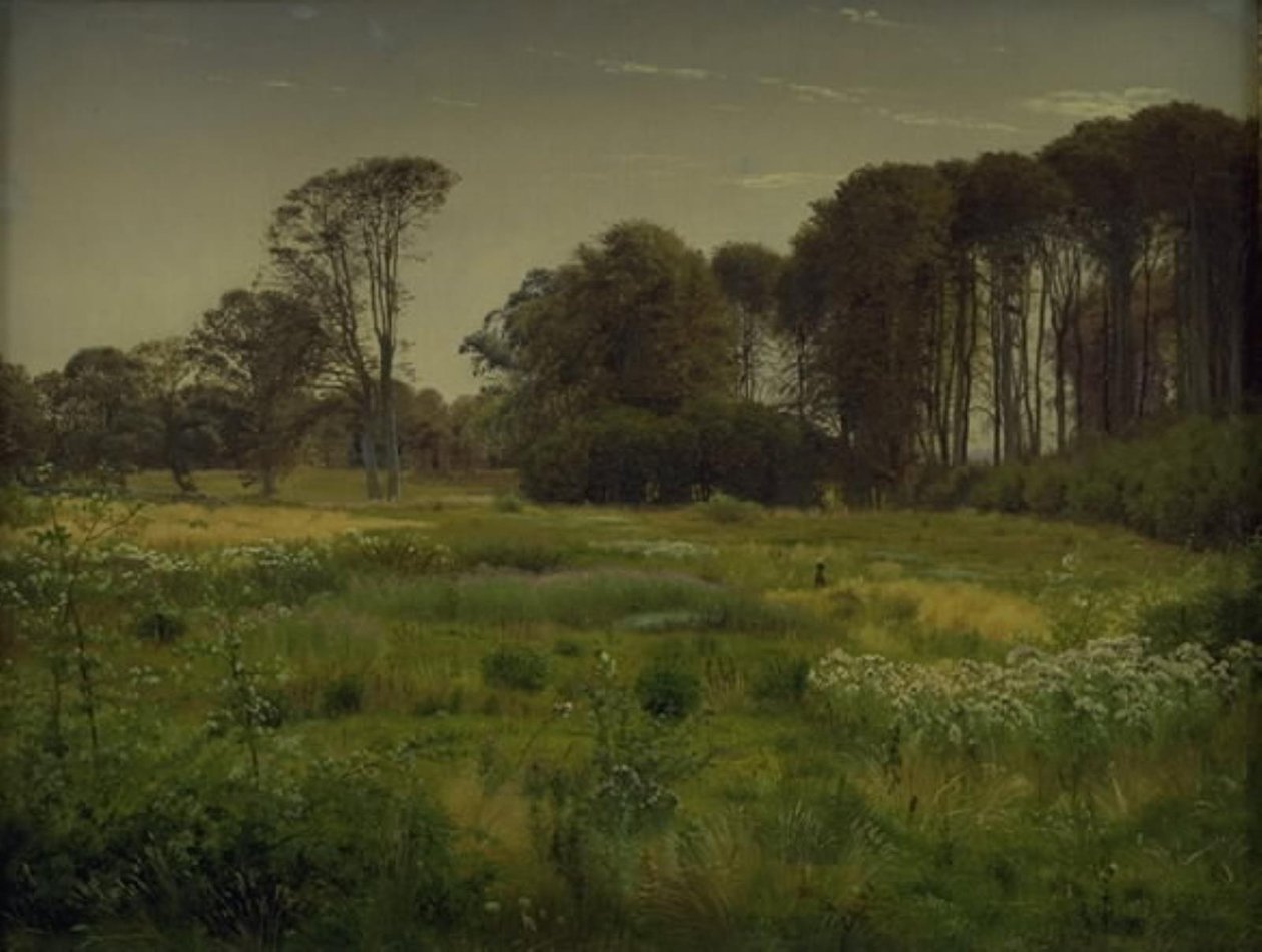 夏の風景。 Horneland 近く Fåborg 作： ヴィルヘルム・キン